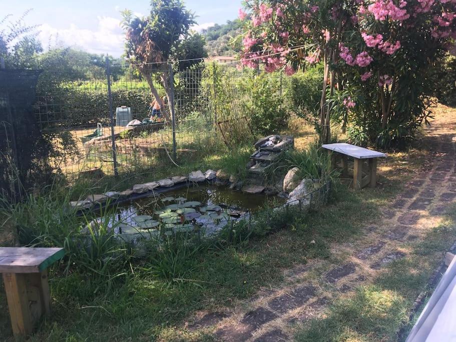 Apartamento Le Rose , Relax In Casolare Del 1700 Sarzana Exterior foto